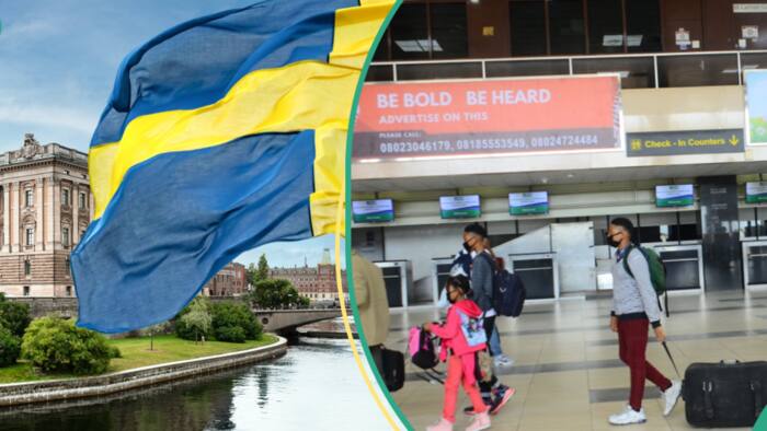 “Contact us”: Sweden simplifies visa process, allows Nigerians to apply for work and get it quickly