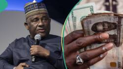 Nigeria’s second richest man, Abdul Samad Rabiu, discloses Issues with FX as naira crashes to lowest