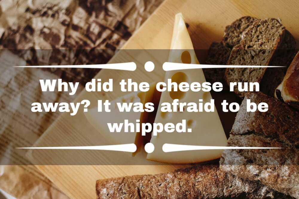 cheese jokes and puns