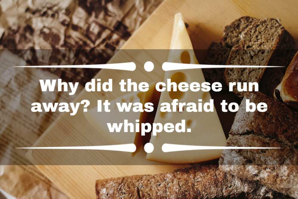 cheese jokes and puns cheese jokes and puns