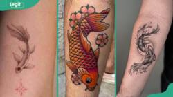 Koi fish tattoo meaning: direction, colour symbolism, and 15 powerful designs