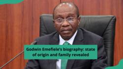 Godwin Emefiele’s biography: state of origin and family revealed