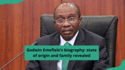 Godwin Emefiele’s biography: state of origin and family revealed