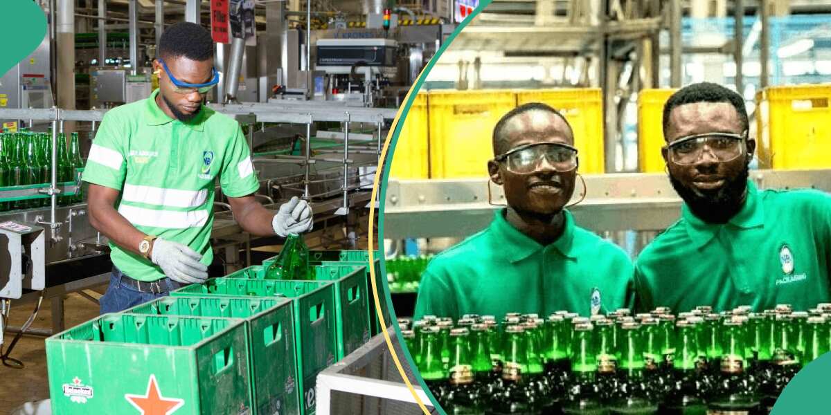 Why Nigeria Breweries wants to acquire majority stake in another firm