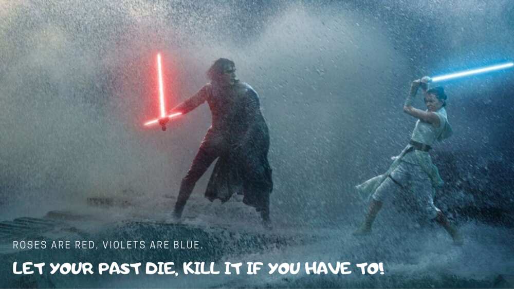 roses are red violets are blue meme roses are red violets are blue meme