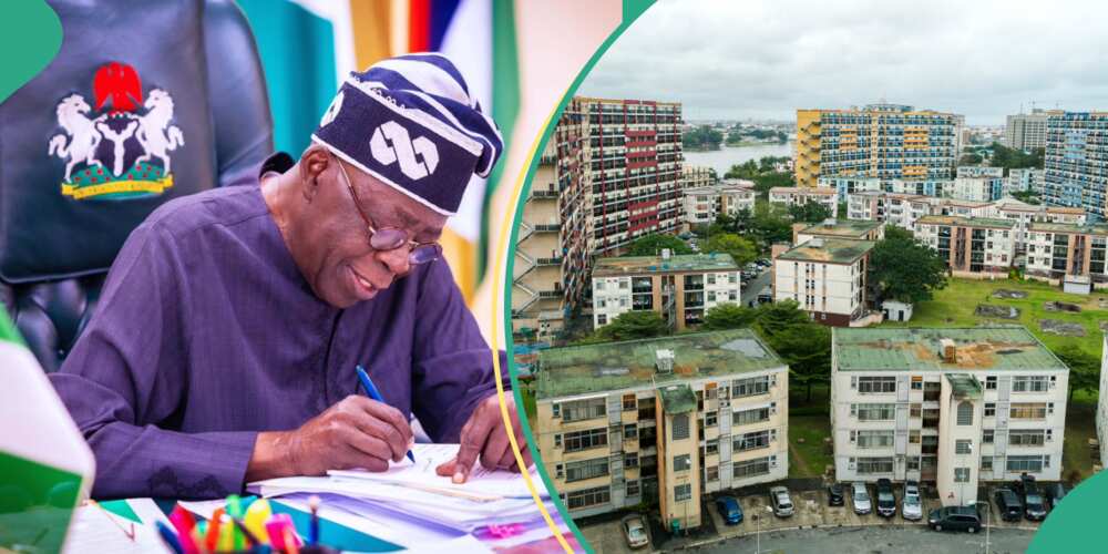 Tinubu/Tinubu news/education news/education news in Nigeria today