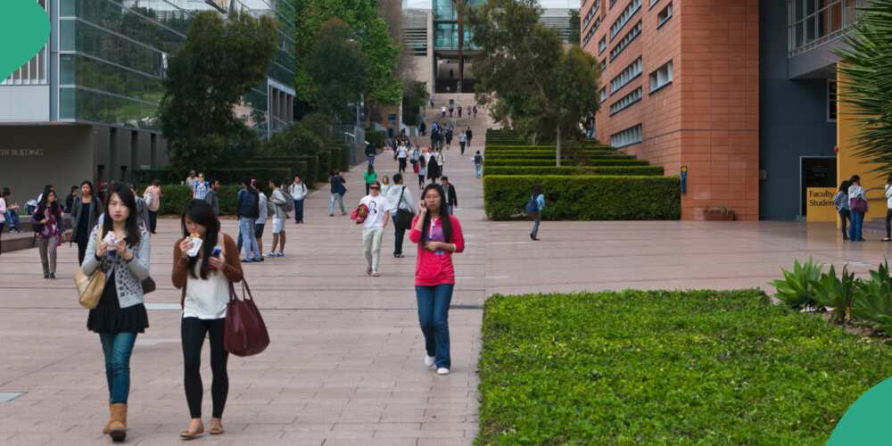 Researcher lists 14 Australian universities with scholarships for Nigerians Researcher lists 14 Australian universities with scholarships for Nigerians