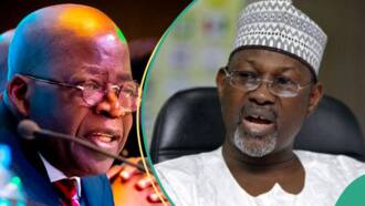Just In: Jubilation as Tinubu gives appointment to ex-INEC chairman Jega, details emerge