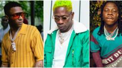 Shatta Wale how market? Reactions as Wizkid hangs out with Stonebwoy in Ghana after massively successful show