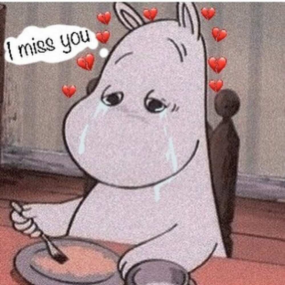 cute i miss you meme