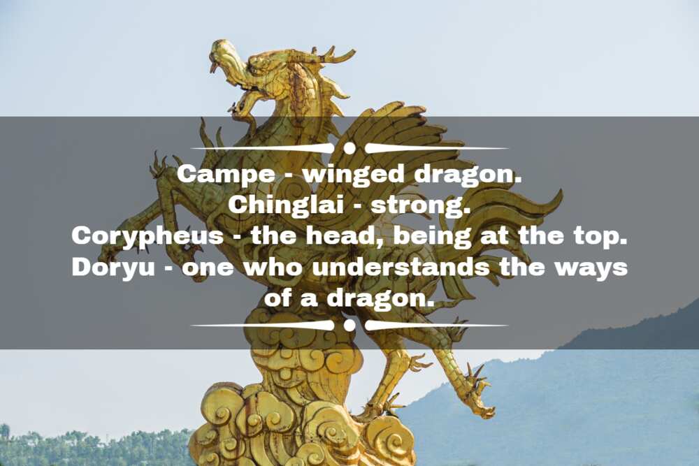 Amazing dragon names