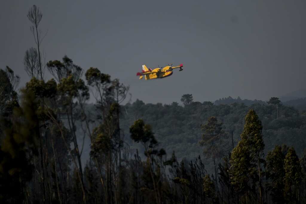 Portugal Fires Contained Situation Remains Serious Legit Ng   Bfdefaf982b2ce4e 