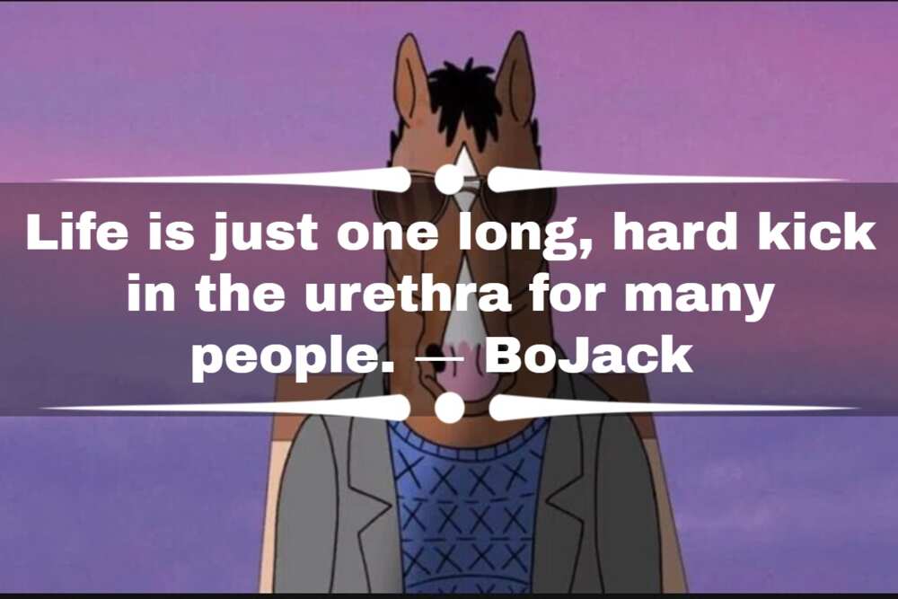 BoJack Horseman quotes about life