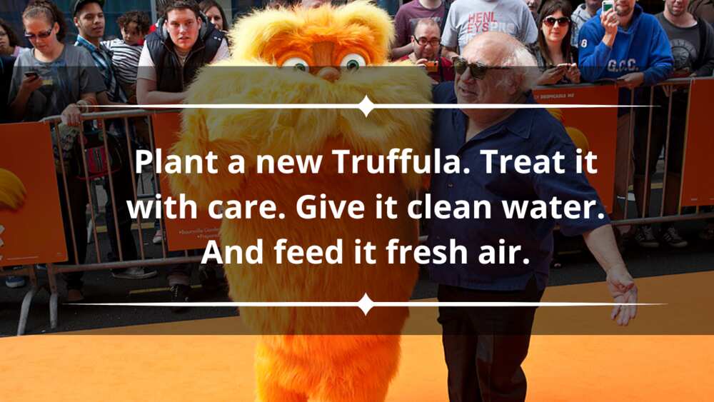 The Lorax quotes about the environment
