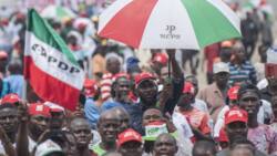 APC cries foul as PDP wins all chairmanship seats in Adamawa LG election