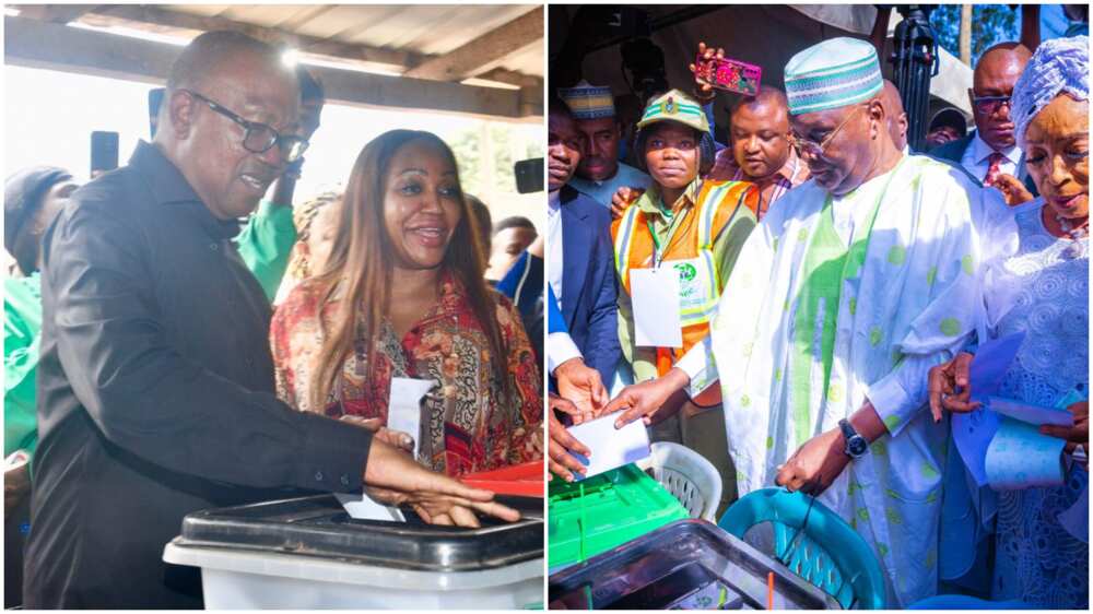 Atiku and Peter Obi voting/2023 Presidential Election Court