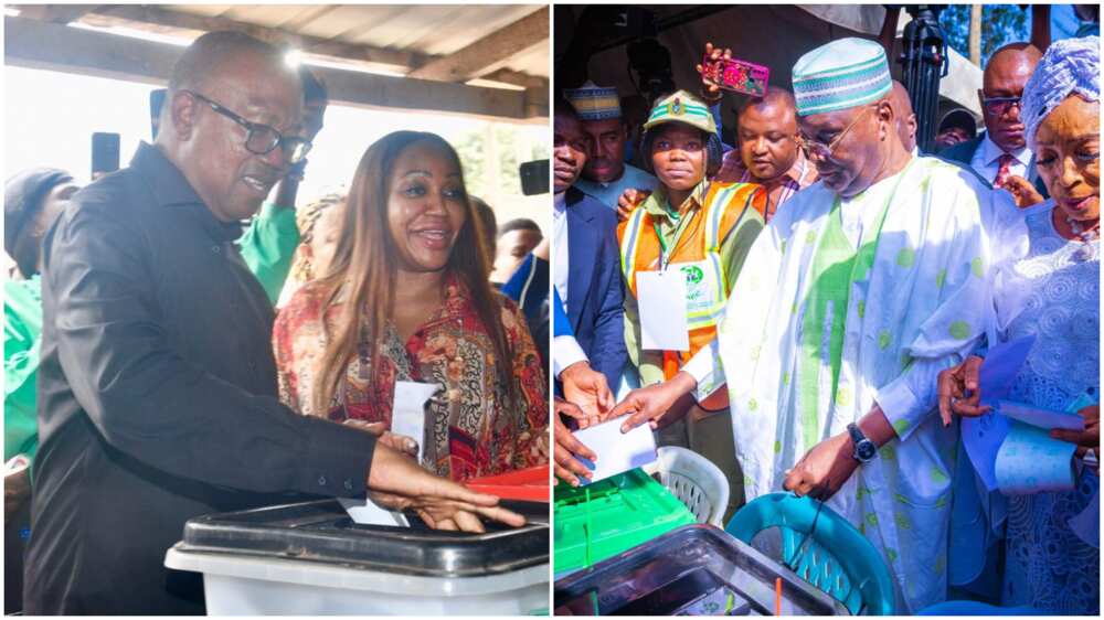 Atiku and Peter Obi voting/2023 Presidential Election Court Atiku and Peter Obi voting/2023 Presidential Election Court