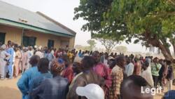 Live results of supplementary governorship elections trickle in from polling units in Adamawa, Kebbi states