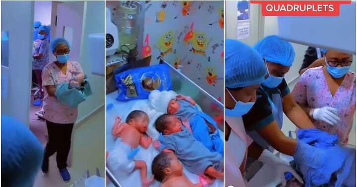Quadruplets, mum gives birth to four babies, melt hearts