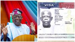 APC presidential candidate rejected? Keyamo shares photo of Tinubu’s American visa, knocks critics
