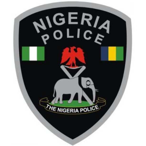 Nigeria police recruitment portal: How to apply in 2020?