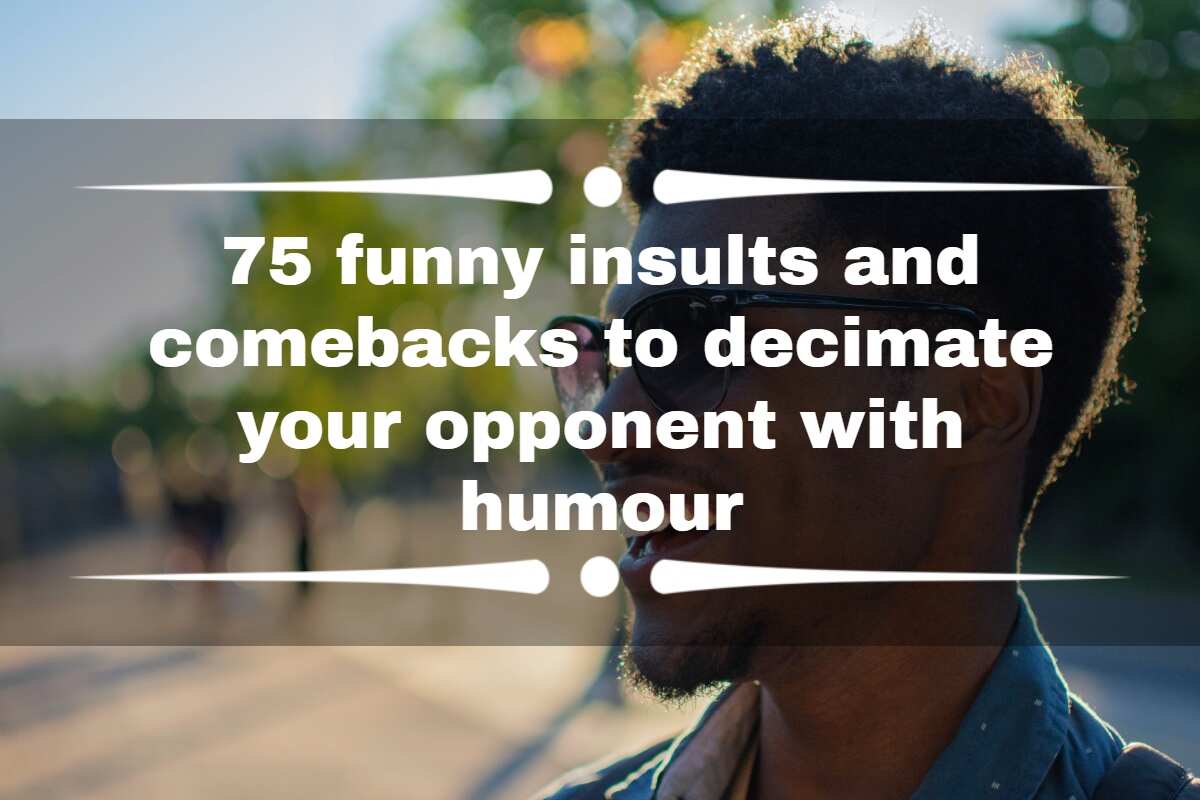 Insult Funny Quotes