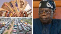 Proof of Ownership: FG to generate N12bn from 12 million vehicles in Nigeria