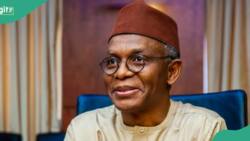 “I don’t want to be a godfather”: El-Rufai gives reason as he takes aim at politicians