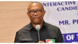 After speaking at Chatham House, Peter Obi takes campaign to Kaduna state, details emerge