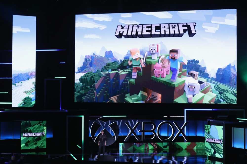 'Minecraft' was first developed by one person, Markus 'Notch' Persson
