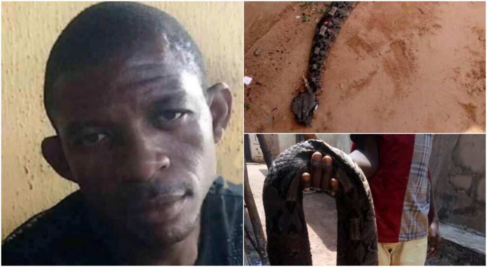 Man bitten by snake dies after being taken to herbalist in Umuahia (photos)