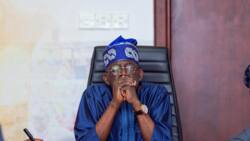 2023 elections: Heartbreak as court gives final verdict on Tinubu’s candidacy