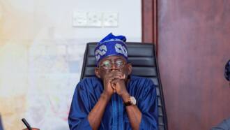 2023 Presidency: Firm hired by APC for opinion poll allegedly backfires on Tinubu