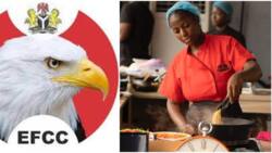 "Be legit like Hilda Baci": EFCC orders Nigerian youths amid Guinness World Record celebration, post trends