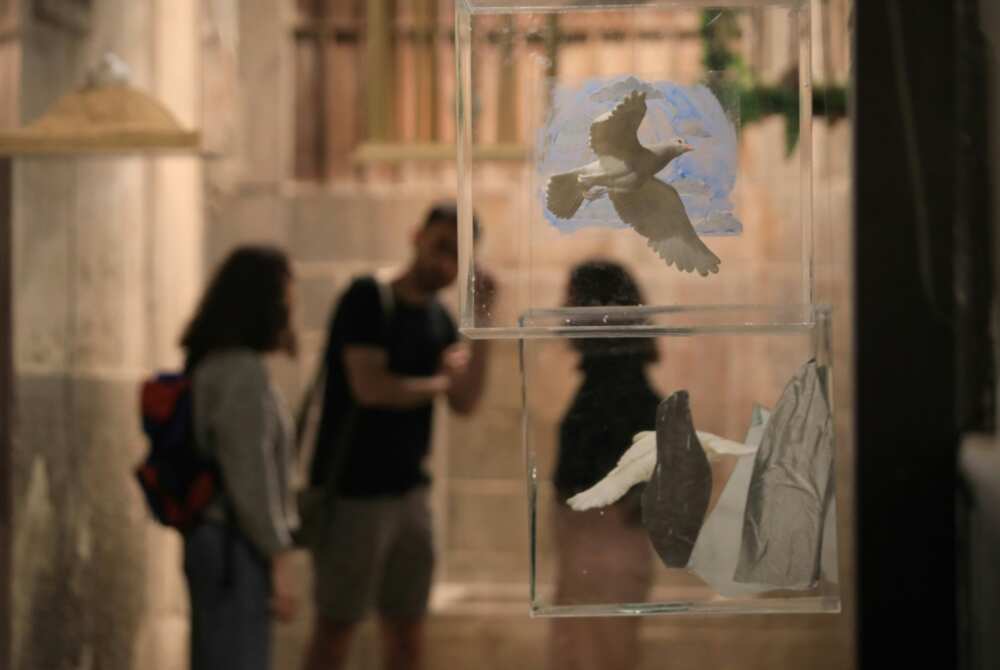 Damascus art installation turns ceramic doves into war symbol - Legit.ng