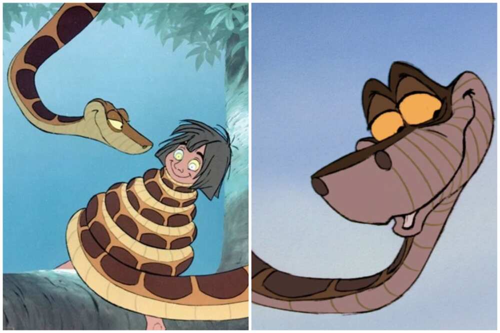 characters in Jungle Book