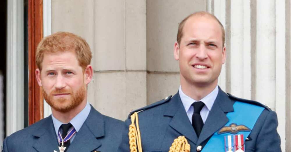 Princess Diana, Prince William, Prince Harry, Promise, Best Friends