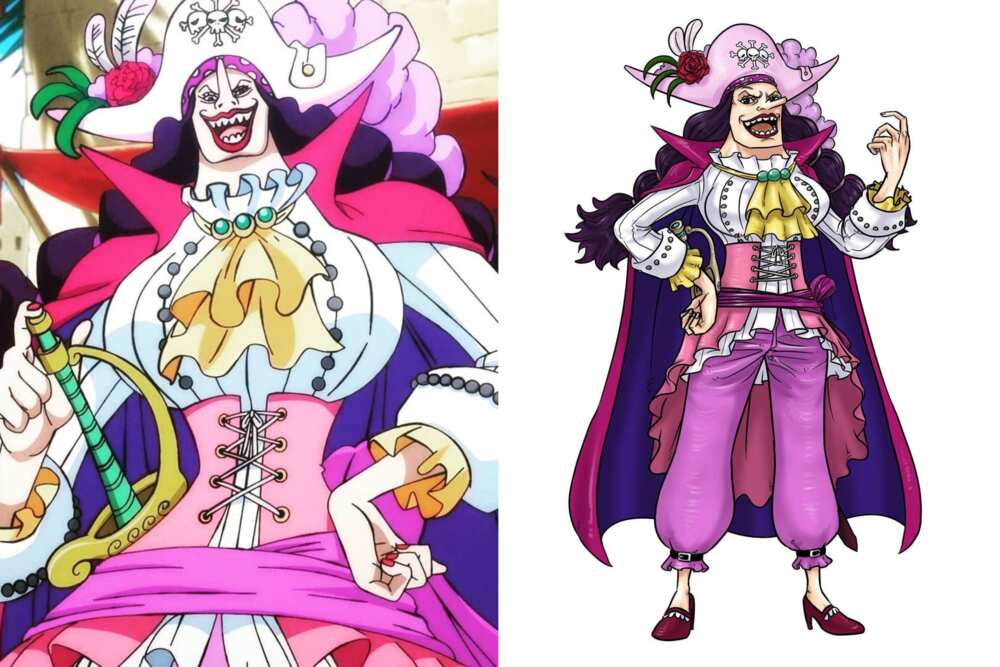 badass one piece female characters