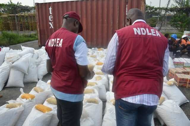 NDLEA agents