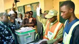 2023 governorship election results: Updated list of states won by APC, PDP, NNPP, LP so far