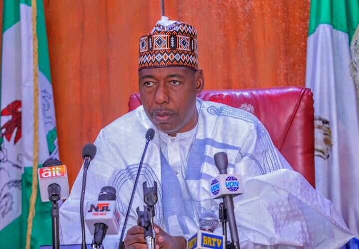 Governor Babagana Umara Zulum