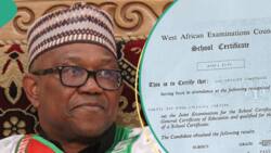 ‘Pass in English and Maths’, reactions as Peter Obi’s WAEC certificate surfaces