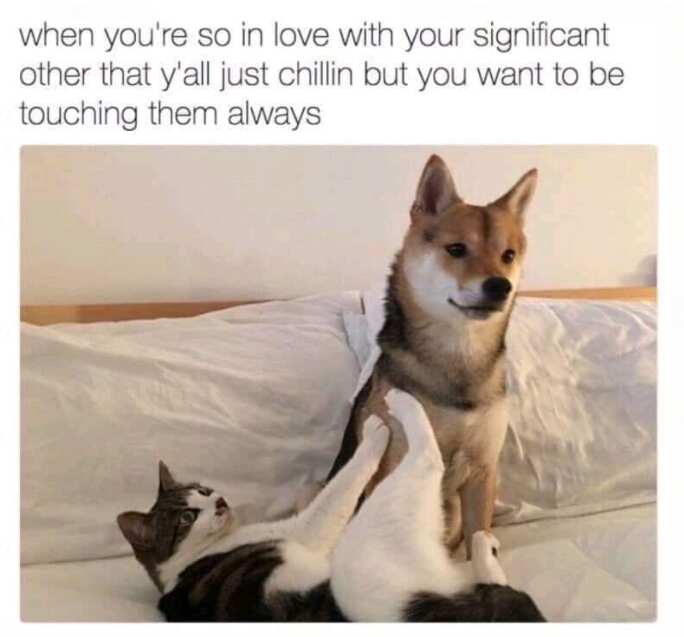 50 Love Memes For Every Occasion To Send To Your Significant Other Legit Ng