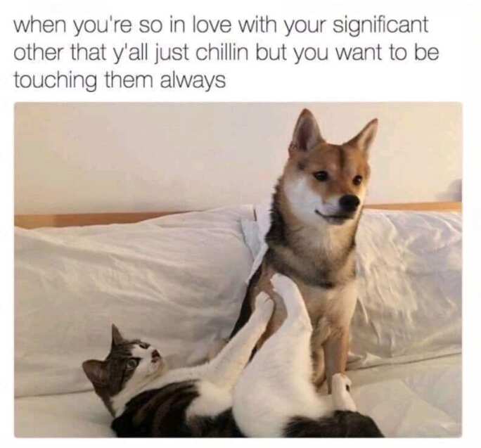 cute love memes