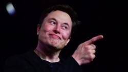 Elon musk, Others beg for suspension of AI coding, as developers compete to build smarter versions of Chat GPT