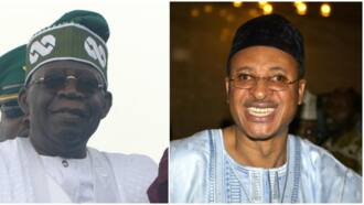 Tinubu appointed Peter Obi's ally Pat Utomi as minister? Labour Party chieftain reacts
