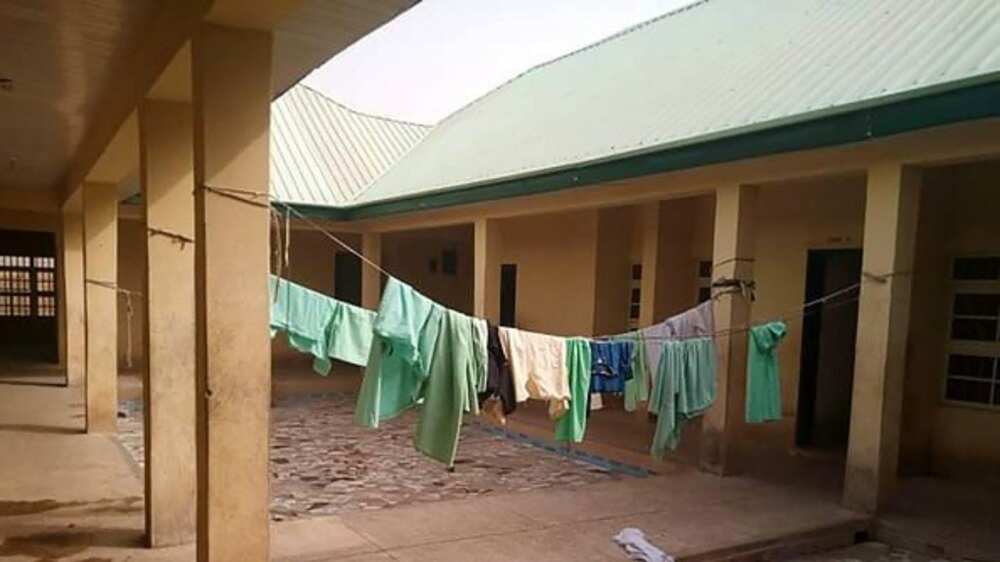 Zamfara: One person shot dead as violence breaks out in Jangebe