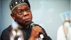 Da Dumi-Dumi: Zaben 2023: Obasanjo Na Son A Yi Wa Dimokradiyya Juyin Mulki, Kwamitin Kamfen Din APC Ta Yi Martani