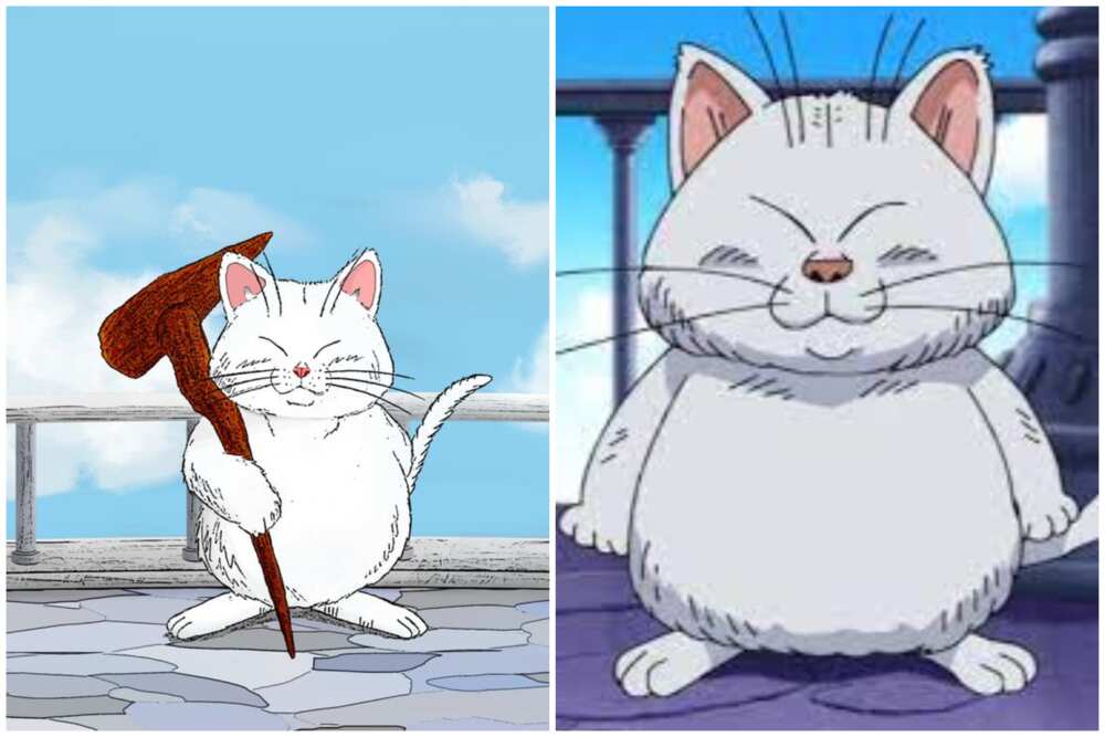 33 cutest anime cats: most popular kitties from films and shows 