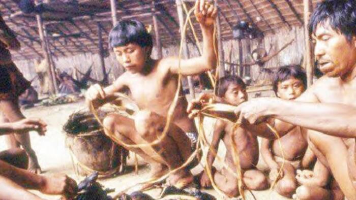 Yanomami: Kabilar da Dangi Ke Bandar Gawar Mamaci, Su Cinye Namansa